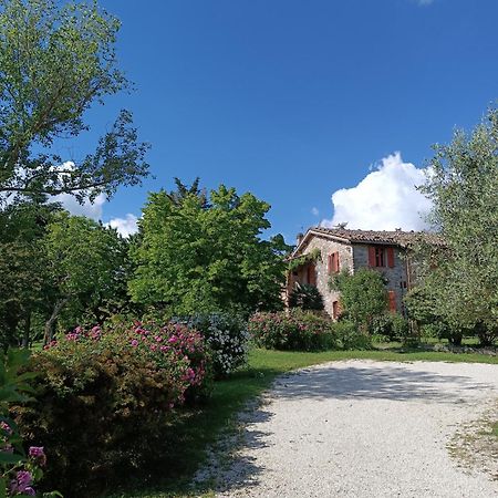 Pilgrim Rooms Губбио Экстерьер фото