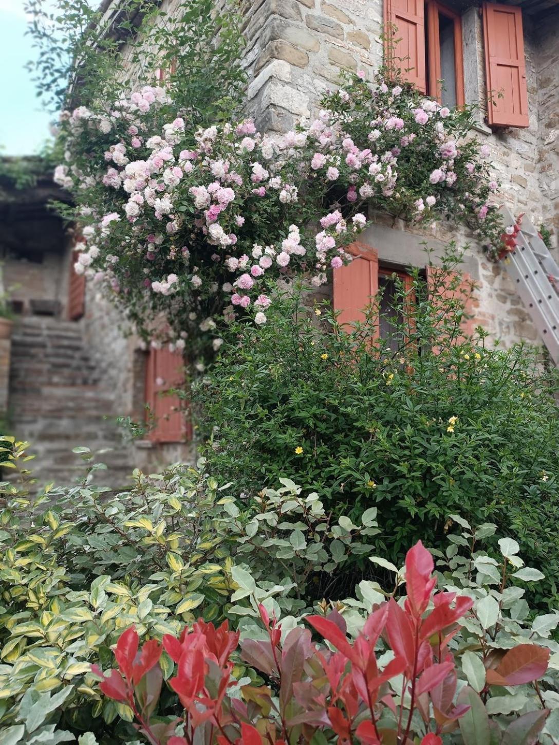 Pilgrim Rooms Губбио Экстерьер фото